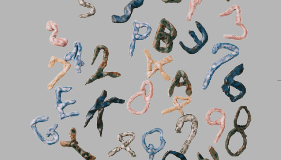 ＋×もしくはー÷　展の開催